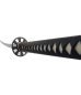 Paul Chen Practical Pro Katana