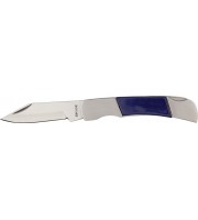 Frost Cat Cub Royal Blue