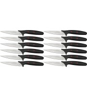 Frost Twelve Piece Steak Knife Set