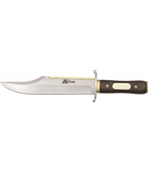 Misc Alamo Bowie