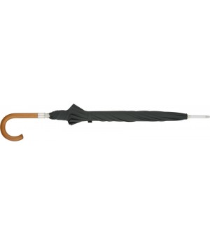 Misc Umbrella with Sword handle