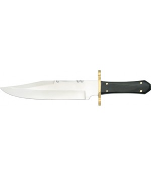 Rough Rider Patrick Henry