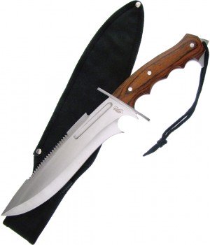 Frost Homeland Defender