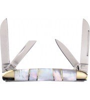 Frost Steel Warrior Congress