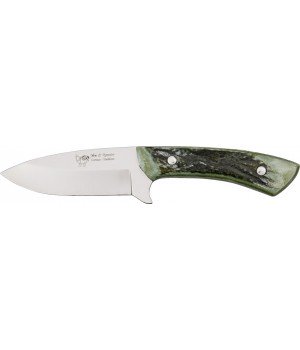 H&R Stag Bowie Green