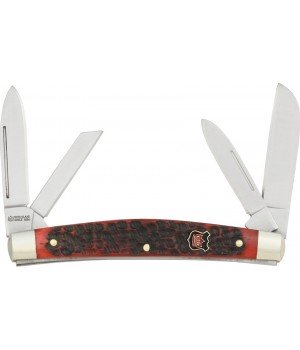 Robert Klass Congress