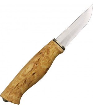 Kellam Falcon