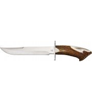 Katz Alamo Bowie