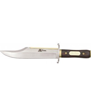 Misc Alamo Bowie