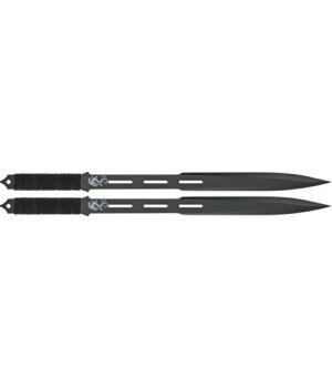 Misc Twin Sword Set