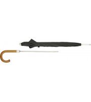 Misc Umbrella with Sword handle