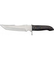 Pakistan Tanto Hunter