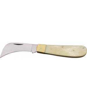 Pakistan Hawkbill White