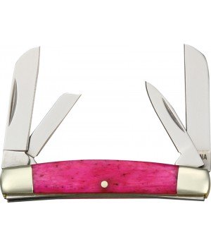 Rough Rider Tiny Congress