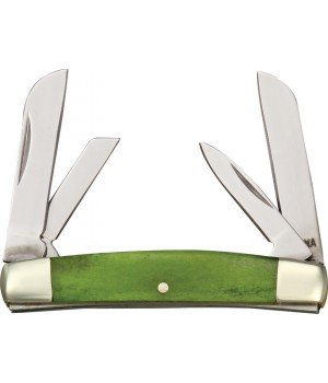 Rough Rider Tiny Congress