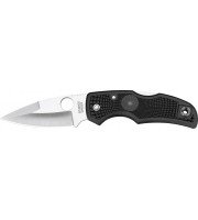 Spyderco Native Standard
